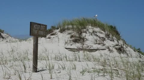 Keep Off The Dunes! 動画素材 11743613