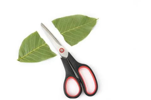 Keep the earth green concept. Save the planet Stock Photos