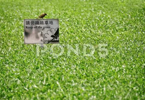 Keep Off The Grass Sign Stock Photos
