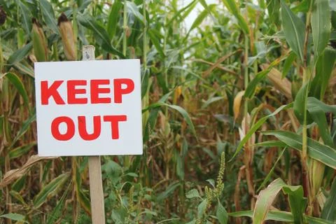 Keep Out of the Corn Stock Photos