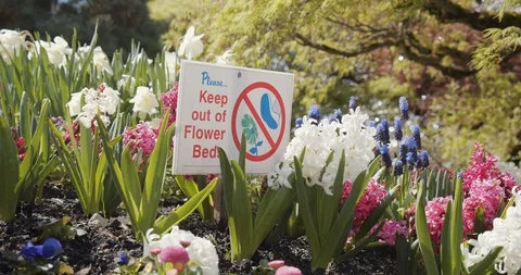 Keep Out of Flower Beds Sign Video stock 129780743