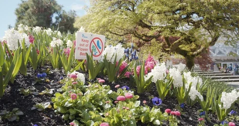 Keep Out of Flower Beds Sign Stock-Footage 129780929