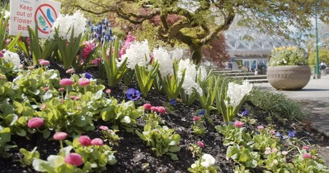 Keep Out of Flower Beds Sign Video stock 129781362