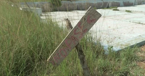 Keep Out sign in destroyed swimming pool in Cuba Stock Footage 62425306
