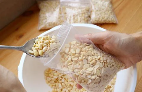 Keep Soybeans Mixed with Tempeh Starter in Perforated Zip-top-bags Stock Photos