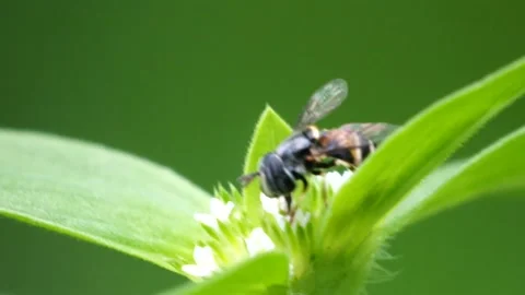 Keep working Stock Footage 233889707