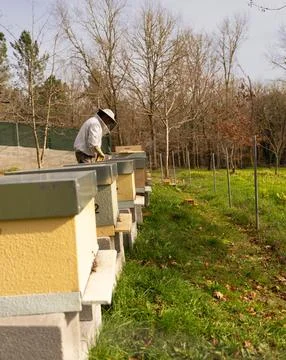 Keeper of the hives Stock Photos