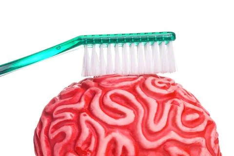 Keeping the Brain clear and sharp Stock Photos