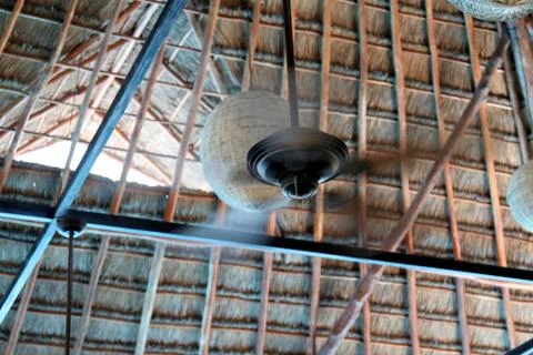 Keeping cool Stock Photos