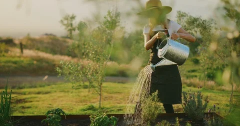 Keeping her plants happy with lots of water Stock Footage 107036720