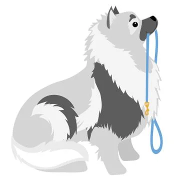 Keeshond Leash Stock Illustration
