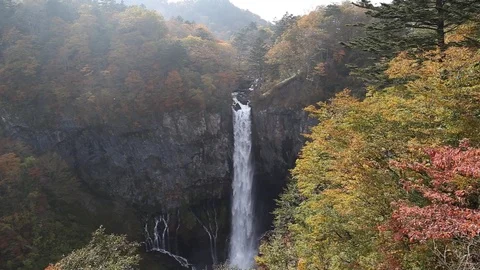 Kegon Waterfall with colorful tree leaf in autumn Stock Footage 104514788