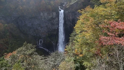 Kegon Waterfall with colorful tree leaf in autumn Nikko Japan Stock Footage 104515489