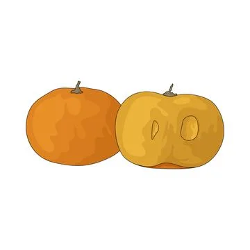 Kei Apple illustration Stock Illustration