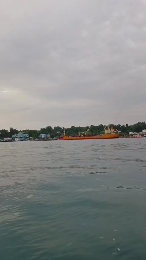 Keindahan alam Video stock 223476803