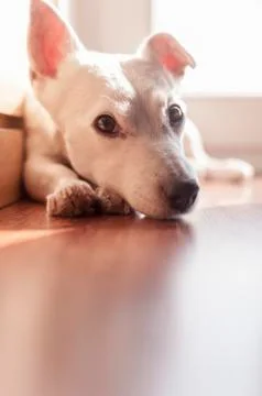 Keira Stock Photos