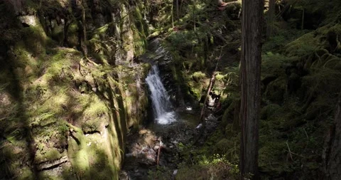 Kelly falls Stock Footage 181217778