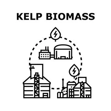 Kelp biomass processing producing renewable green energy Ilustración de archivo