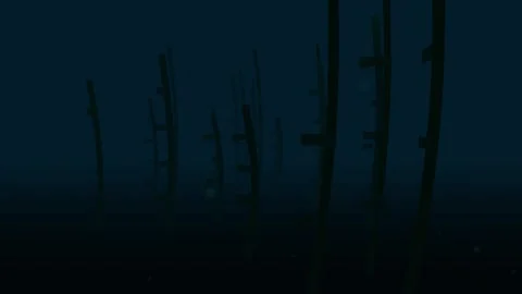 Kelp Forest Ocean Current 4K Stock Footage 338383590