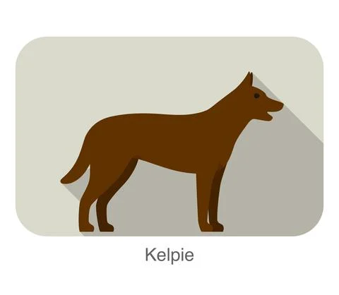 Kelpie dog standing side, walking, dog breed series Stock Illustration