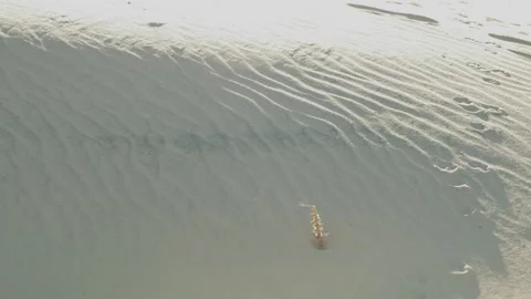 Kelso Dunes Close Up Sand 2 Stock Footage 173454601