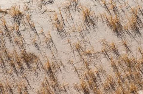 Kelso sand dunes texture Stock Photos