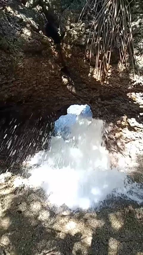 Keluar banyak Video stock 208885632