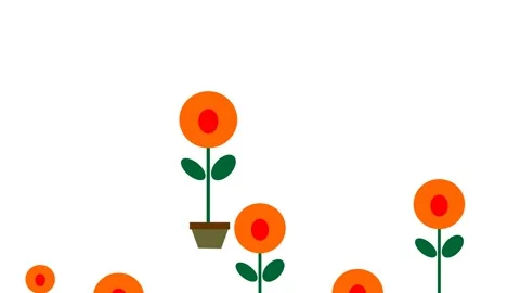 Kembang3 Stock Footage 290832875