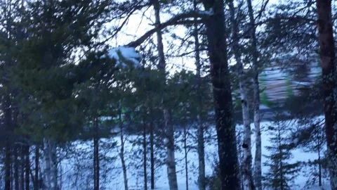 Kemijarvi Forest train Stock Footage 158950043