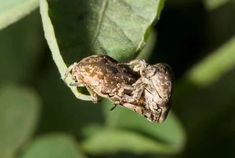 KEN 0297 Stock Photos