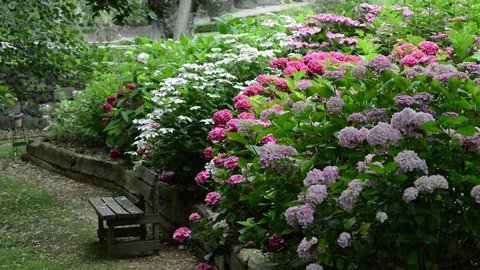 KEN 3150 動画素材 76779004