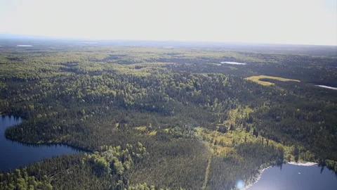 Kenai Peninsula, Alaska Stock Footage 137413152