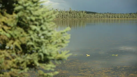 Kenai Peninsula, Alaska Stock Footage 137437360