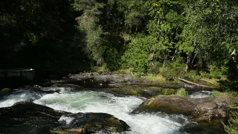 Kenai Peninsula, Alaska Stock Footage 137459441