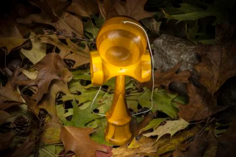 Kendama in an autumnal composition Stock Photos