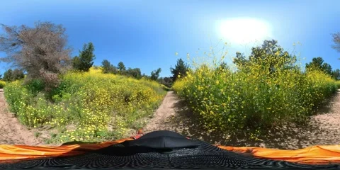 Kenneth Hahn Park Super Bloom on Trail Cycling VR 360 Equirectangular California Video stock 267169890