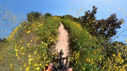 Kenneth Hahn Park Super Bloom on Trail Cycling POV 02 Los Angeles California USA Stock Footage 312605076