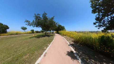 Kenneth Hahn Park View Point Cycling POV Front View 01 California USA Stock Footage 327735019