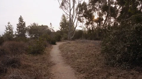 Kenneth Park Walking Trail with Sun Flare Stock Footage 101446077