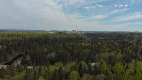 Kenora Factory forest long Video stock 113231992