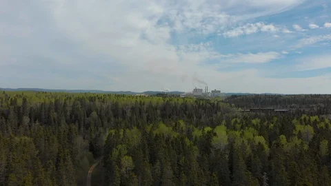 Kenora forest factory Stock Footage