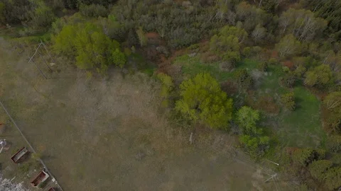 Kenora Forest to Town Video stock 113294890