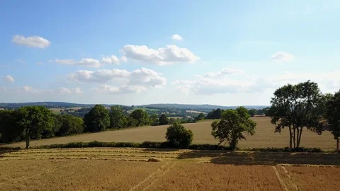 Kent Countryside Stock Footage