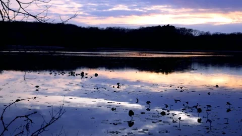 Kent lake landscape under evening sun light in rural Michigan Video stock 170590841
