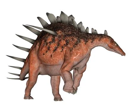 Kentrosaurus dinosaur, white background. イラスト素材