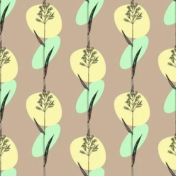 Kentucky bluegrass seamless pattern Herbal seamless pattern with hand draw... Stock Photos