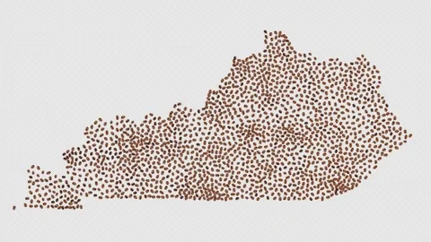 Kentucky Coffee Beans Stock Footage 147612421