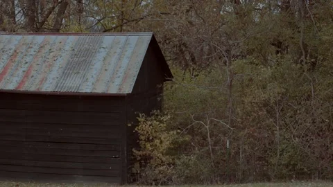 Kentucky in the fall leaves falling with barn in background Stock Footage 321551684