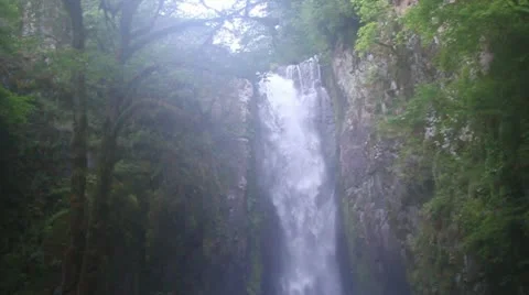 Kentucky Falls Oregon Video stock 12117093