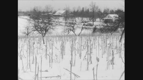 Kentucky Farmer Talking About Soil Exhaustion Stock Footage 113296174